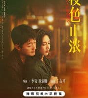 The Glamorous Night (2026)